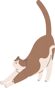 右上猫イラスト